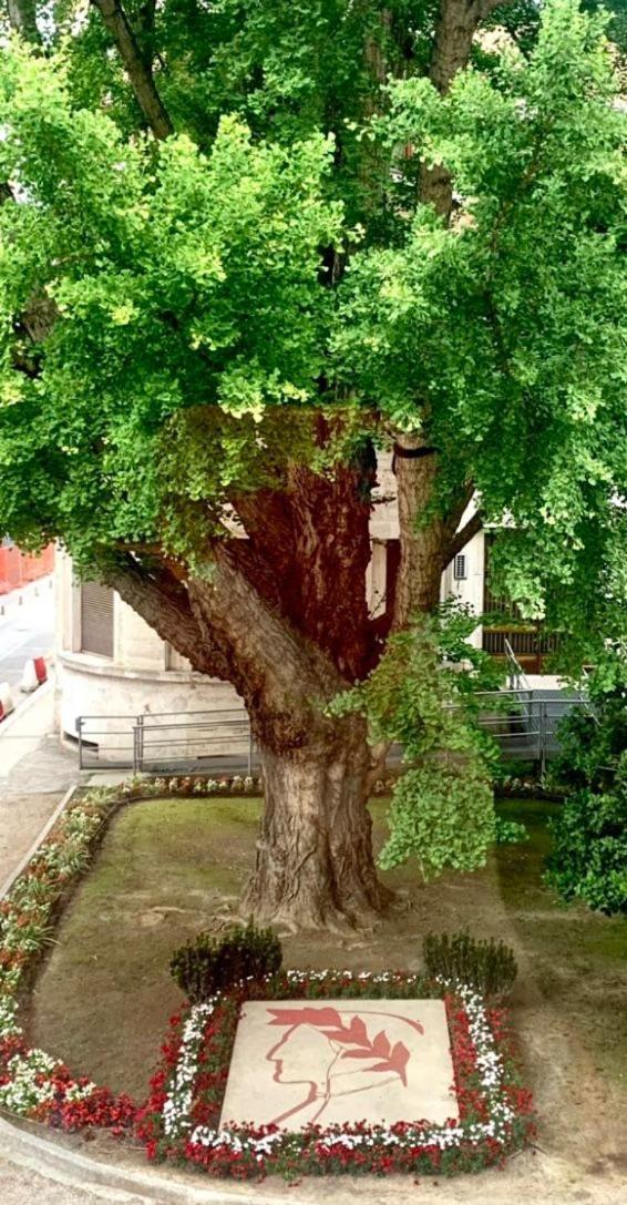 Ravenna Suite Exteriér fotografie